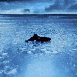 中国洞房电影免费观看2023年
