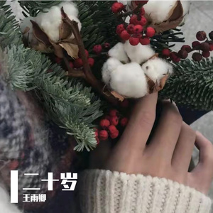 中国洞房电影免费观看2023年
